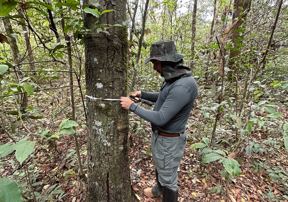 Design sem nome (65)