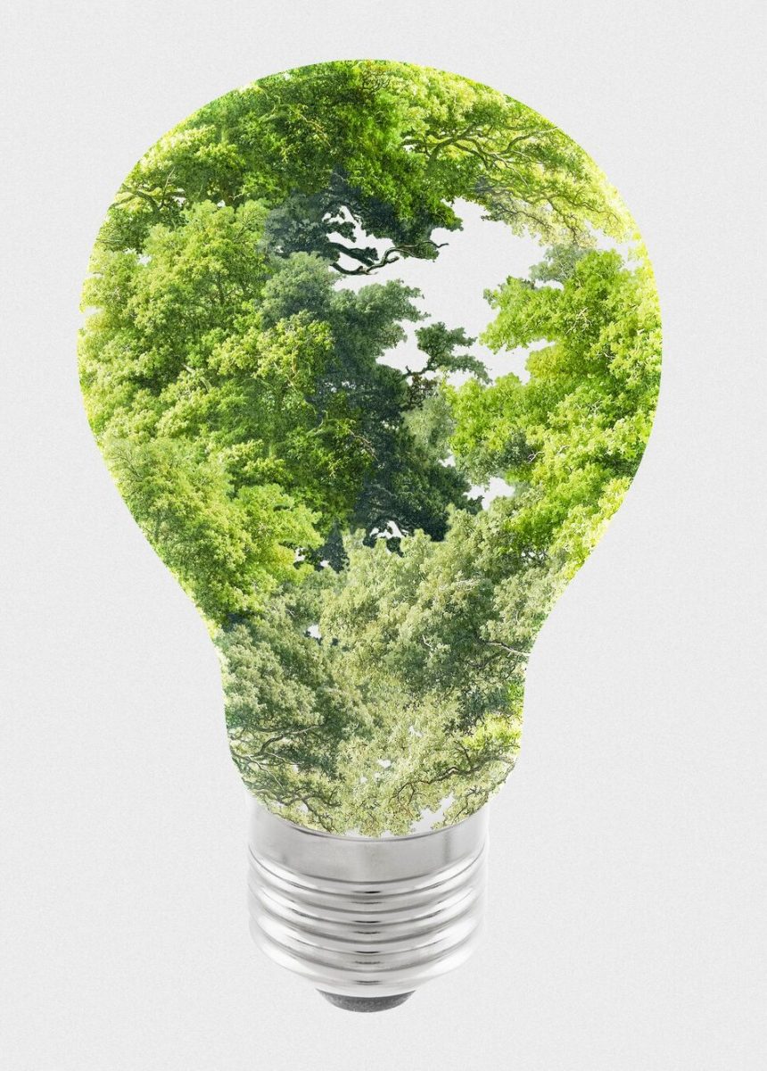 sustainable-energy-campaign-tree-light-bulb-media-remix
